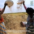 thumbnail image 5 of Aduna Fonio Gluten-Free Organic Super Grain 250g, British Import (Pack of 3), 5 of 5