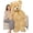 Brown, variant on MaoGoLan 5ft Jumbo Teddy Bear Stuffed Animal Big Life Size Bear Plush Toy Stuffed Bear Toys