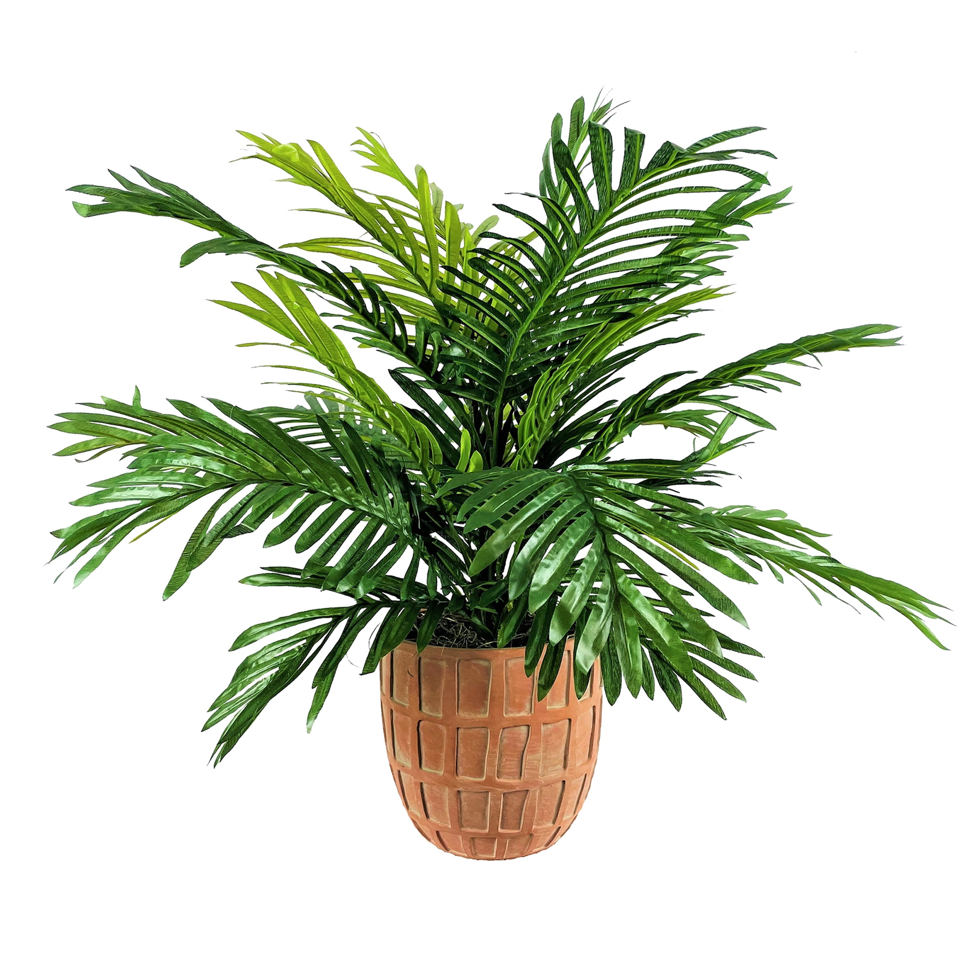 LCG Florals Artificial Plant, Phoenix Palm Plant, 2.67 ft, Terra Cotta Planter