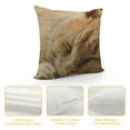 thumbnail image 4 of Qinduosi Throw Pillow Case Orange Tabby Cat Pillow Cover Soft Canvas Home Decorative Cushion Cover for Sofa and Bed One Side Print White, 4 of 5