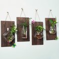 thumbnail image 3 of Tablero de madera + jarrón con forma de ratón para colgar en la pared, decoración de fondo, planta hidropónica, colgante de pared, jarrón pequeño de vidrio de eneldo verde, 3 of 7