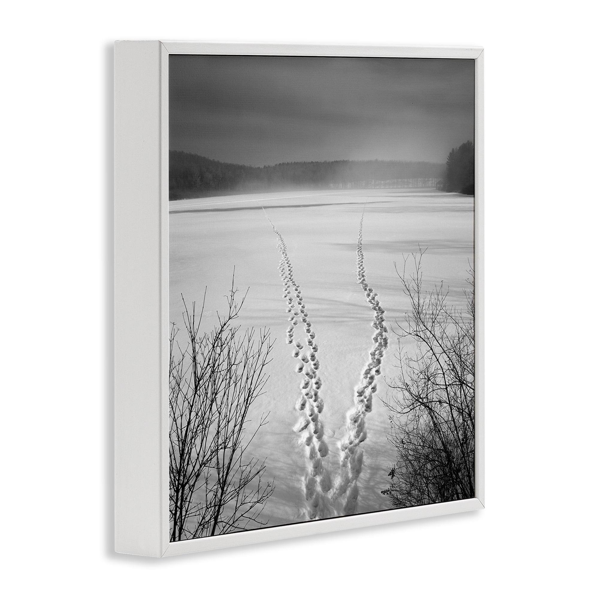 Stupell Industries Snowstep Tracks Across Frozen Lakes White Framed Giclee Art, design by Chip Forelli