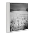 thumbnail image 2 of Stupell Industries Tropical Snowstep Tracks Across Frozen Lakes White Framed Giclee Art, 17 x 17, by Chip Forelli, 2 of 8