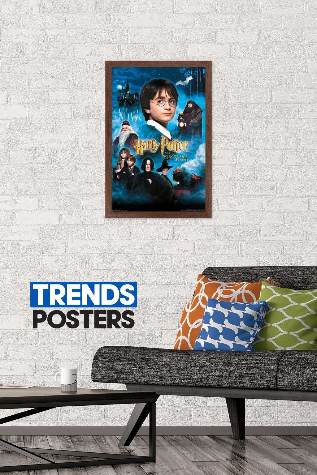 Harry Potter and the Sorcerer's Stone - Candles One Sheet Wall Poster, 14.725" x 22.375", Framed