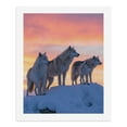 thumbnail image 5 of Paint By Numbers Kit for Adults Beginner - DIY Wolves Sunset Snowy Landscape Canvas Painting Kits for Adults, Frameless Paint By Number for Adults for Home Wall Decor 16x20 Inch, 5 of 7
