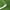 Spring Grass 1" Height, variant on Artificial Turf,1 Inch Pile Height Artificial Grass Rug for Indoor/Outdoor Garden Lawn,Spring Grass Rug 3.3ftx5ft