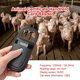 thumbnail image 2 of Lector de tarjetas de etiquetas de tubo de identificación de animales Likrtyny USB de mano para perros y gatos, 2 of 8