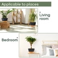 FIASON 2 Pack Plastic 12 Inch Black Grey with Brown Self Watering Plant ...
