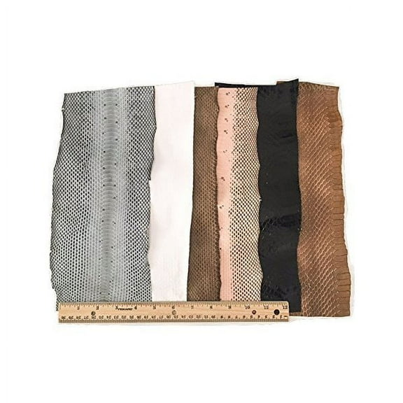 Snake Skin Snakeskin Pieces; Grab Bag! Assorted Colors, 6 Feet, 6 Pieces