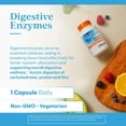 thumbnail image 6 of Doctors Best Digestive Enzymes, Supports Digestive Wellness, Non-GMO, Vegetarian 90 Veggie Caps, 6 of 6