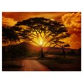 thumbnail image 2 of African Sunset with Lonely Tree - African Landscape Canvas Art Print, 2 of 3