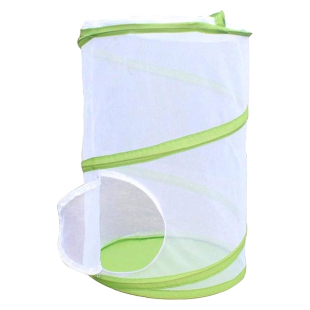 Naiovety Cremallera versátil para terrario de insectos para fácil acceso y mantenimiento Red de casa para insectos Caterpillar Jardín y Patio Verde 35*48cm
