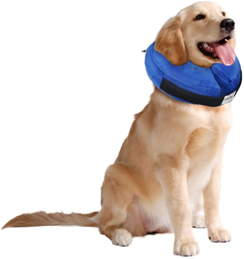 How To Keep Dog From Chewing Stitches