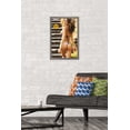 thumbnail image 2 of Sports Illustrated: Swimsuit Edition - Irina Shayk 12 Wall Poster, 14.725" x 22.375" Framed, 2 of 5