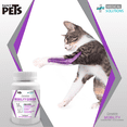 thumbnail image 2 of Ms Complete Mobility Senior P/Gatos - 60 Tab Medical Solutions 60 tab, 2 of 2