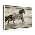 thumbnail image 2 of Canvas Wall Art - Gordon Semmens 'Woodgrain Antiques 1' Wall Art for Living Room, Bedroom, or Office Décor by Trademark Fine Art - 24 x 16 Inches, 2 of 4
