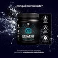 thumbnail image 4 of Creatina Monohidratada Micronizada Pura 300g | 60 Tomas En Polvo | B Life, 4 of 7