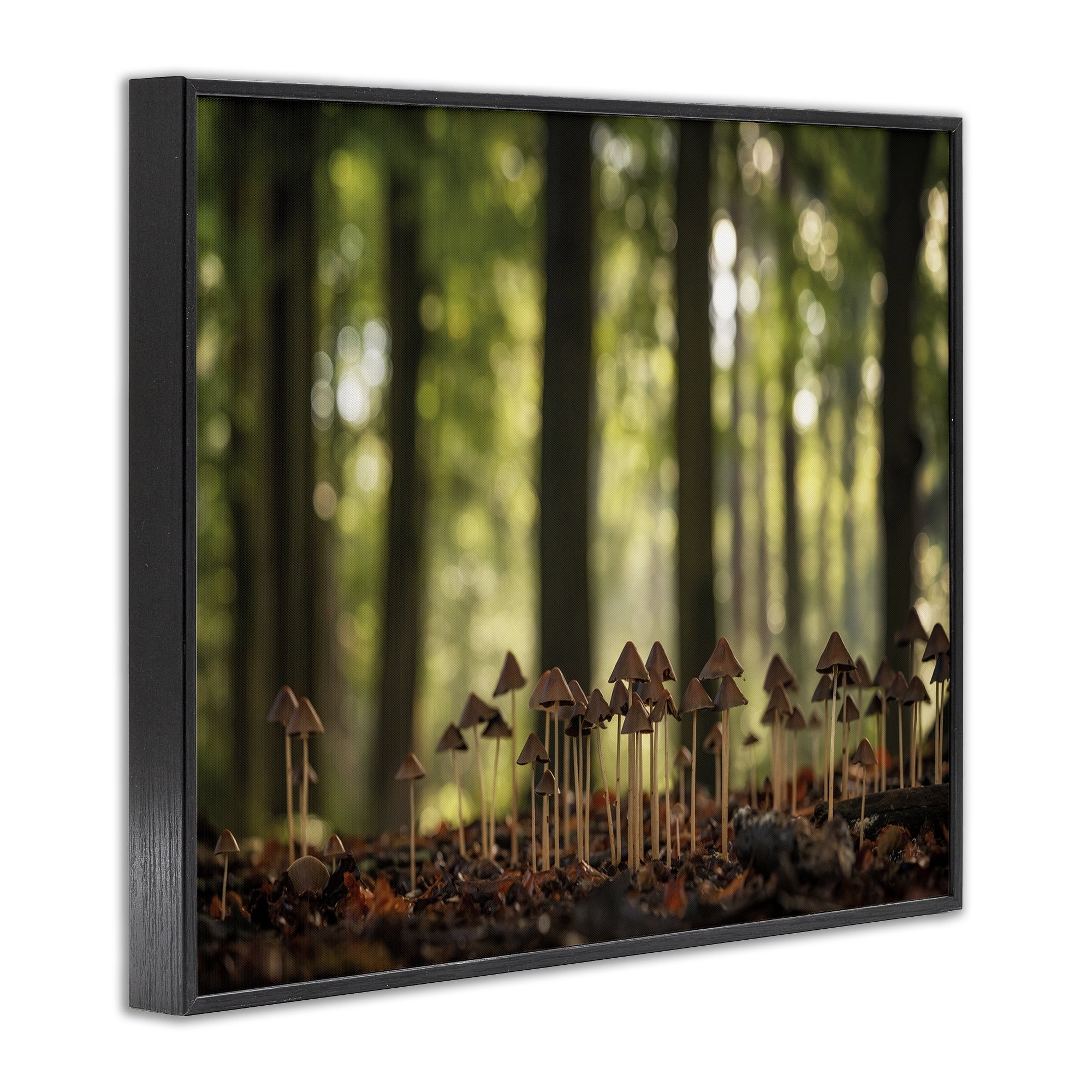 Stupell Industries Mushroom Sprouts in Forest Botanical & Floral Photography Black Framed Art Print Wall Art, 14 x 11