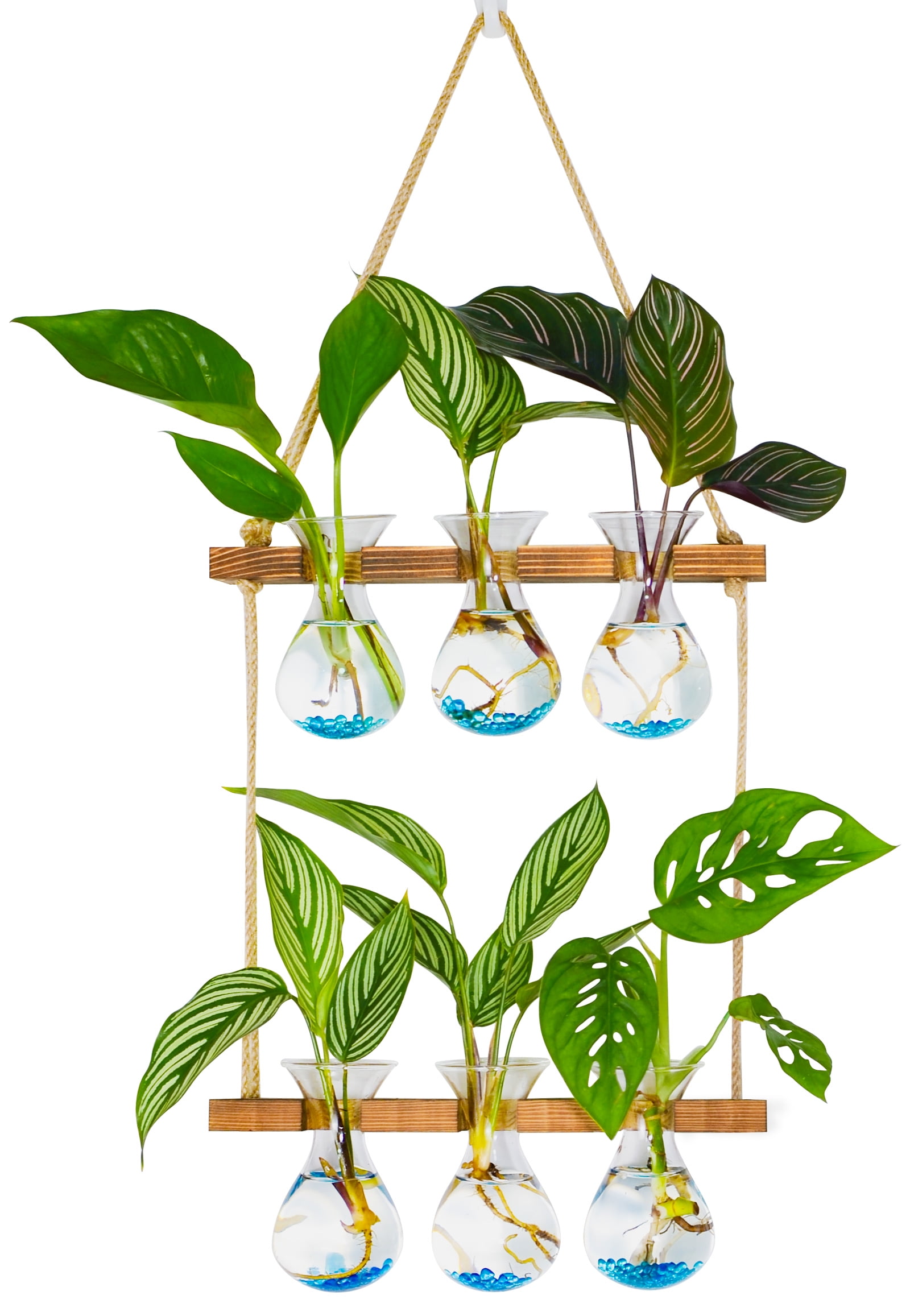 XXXFLOWER Wall Hanging Propagation Station with Wooden Stand 3 Bulb