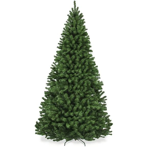 Full Christmas Trees