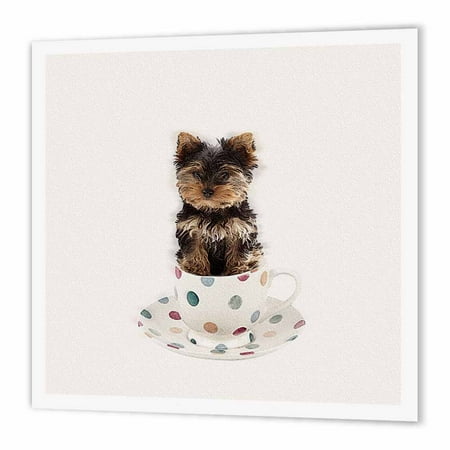 yorkies in heat 3drose tea cup yorkie in tea cup iron on heat transfer 10 by 10 inch for white yorkies in heat 3drose tea cup yorkie in tea cup iron on heat transfer 10 by 10 inch for white