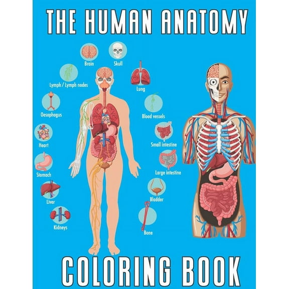 The Human Anatomy (Paperback)
