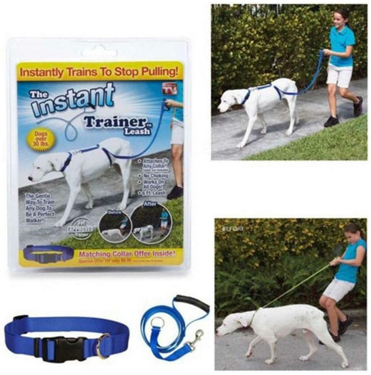 Dog Instant Trainer Leash for Pets Dog Walk Training Rope Walmart Canada