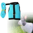 thumbnail image 4 of 2x Lindo Arnés De Conejo Con Correa, Cuello Suave Para Gatitos, Conejos, Animales Pequeños, 4 of 8