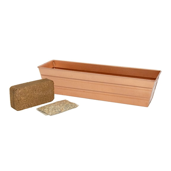 Bloom Box Garden Growing Kit, Small Copper