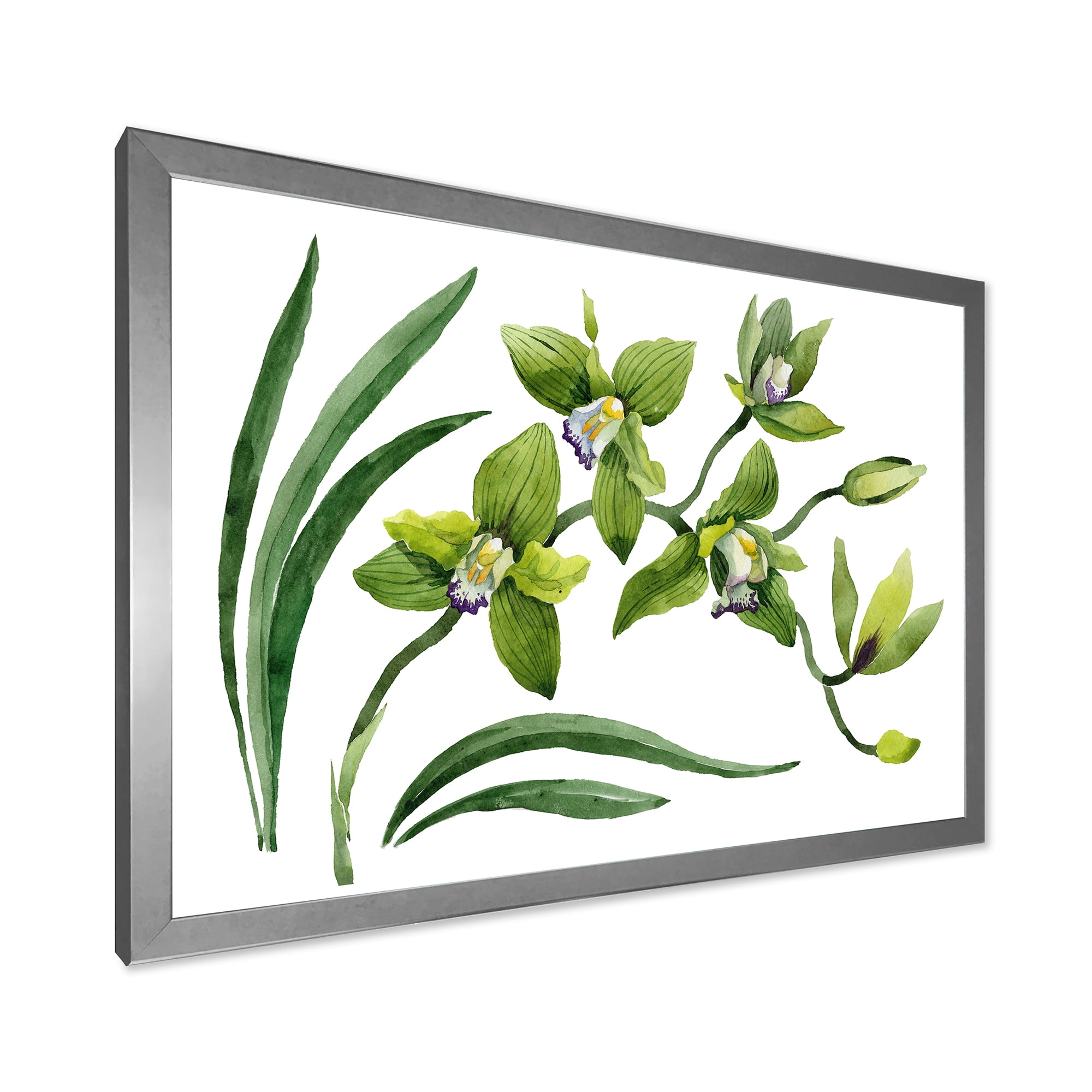 Designart 'Green Orchid Flowers On White' Traditional Framed Art Print