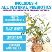 Probiotics 100 Billion CFU - 10 Premium Strains + Prebiotics - Best Daily Probiotic Supplement for Women & Men - For Immune Support, Digestive Health, Occasional Constipation & Gas - 120 Capsules
