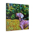 thumbnail image 2 of Weimaraner in Sunshine - Canvas, 2 of 10