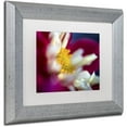 thumbnail image 2 of Trademark Fine Art "A Different Kind of Dahlia" Canvas Art by Kurt Shaffer, White Matte, Silver Frame, 2 of 4
