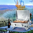 thumbnail image 2 of Topbuy 2-Burner Silver Propane Gas Grill with Lid and Handle Top Thermometer, 2 of 9