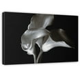 thumbnail image 4 of Masterpiece Art Gallery Calla Cluster Lilies By Ilona Wellmann Canvas Art Print 18" x 24", 4 of 4