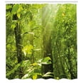 thumbnail image 3 of Ambesonne Nature Shower Curtain, Leaf Branches Woodland, 69"Wx70"L, Lime Green Brown, 3 of 3