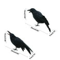 thumbnail image 2 of PEIXUN Halloween Decor Crow Black Bird Prop Artificial Flying DIY Assorted Size, 2 of 5