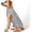 2#Grey, variant on KYEESE Reflective Dog Shirt, Lightweight Quick Dry T-Shirt for Small Medium and Large Dogs, Rose Red, M