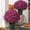 猩红色, variant on Clearance Under $11 Artificial Chrysanthemums 10-Bundle White Mum Plastic For Fall Porch Pot Thanksgiving Centerpiece (I) (10Pc)