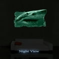 thumbnail image 2 of Startonight 3D Mural Wall Art Photo Decor Shark in my Room Amazing Dual View Surprise Wall Mural Wallpaper Animals Gift Medium 32.28 ?? By 59.06 ??, 2 of 4