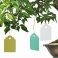 thumbnail image 3 of Etiquetas para Plantas Jadeshay 300 Piezas Reutilizables Impermeables PVC, 3 of 12