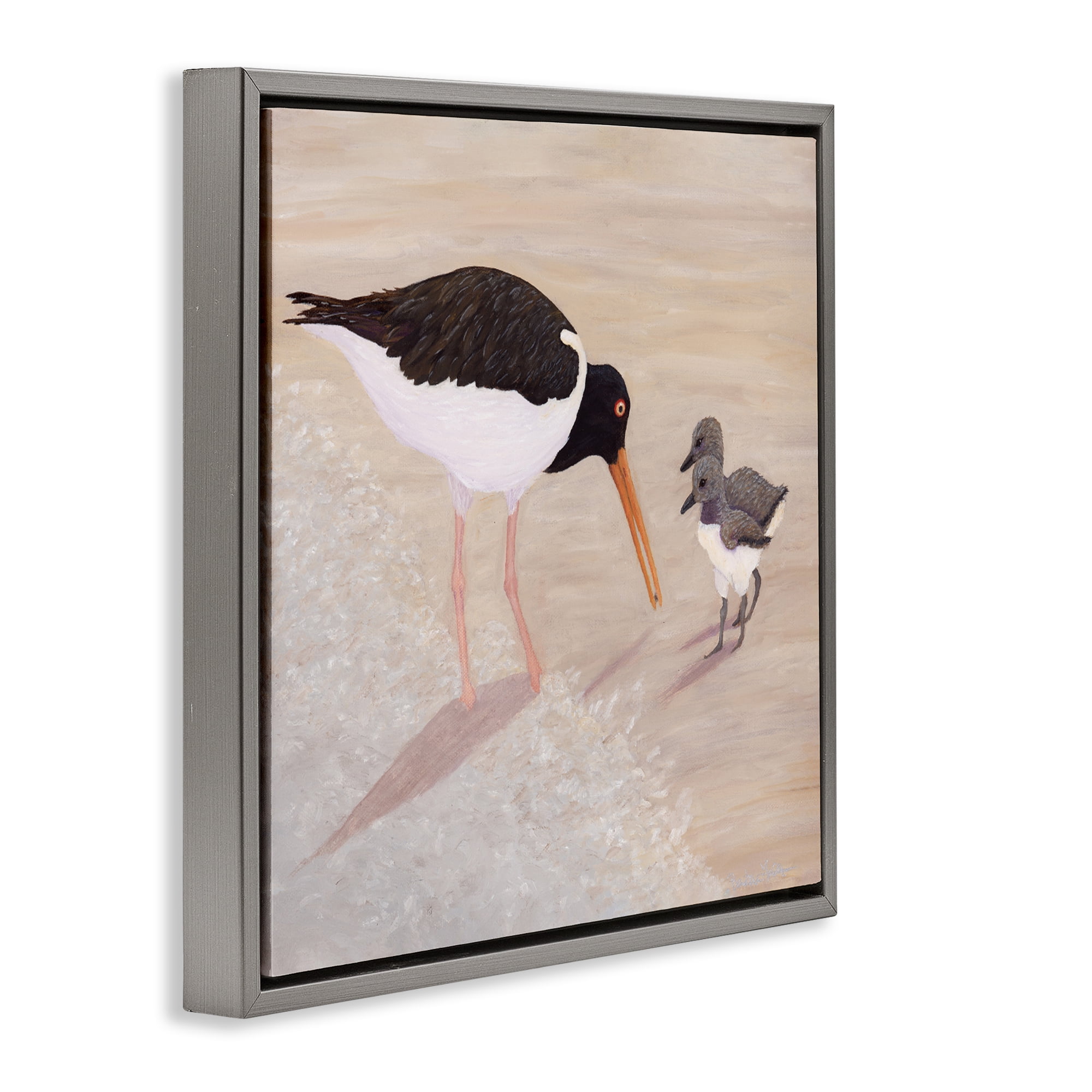 Stupell Industries American Oyster Catcher & Chicks Gray Framed Floater Canvas Wall Art, design by Barbara Fallenbaum
