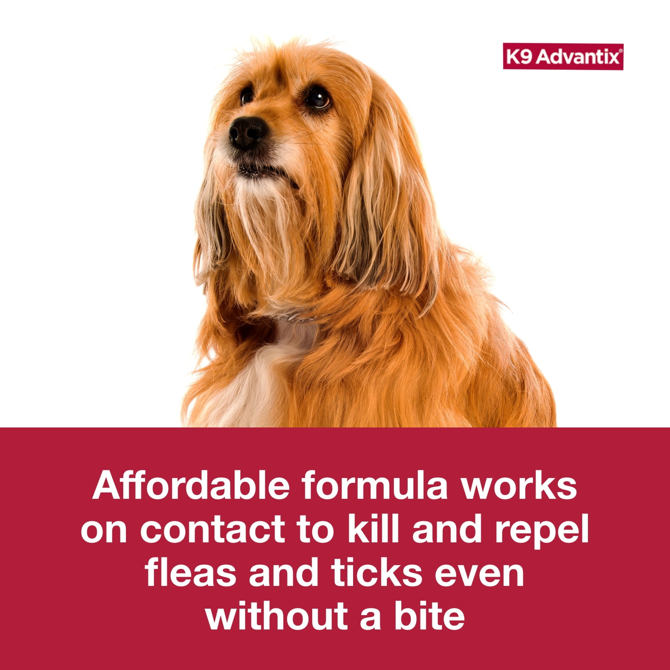 K9 advantage walmart top
