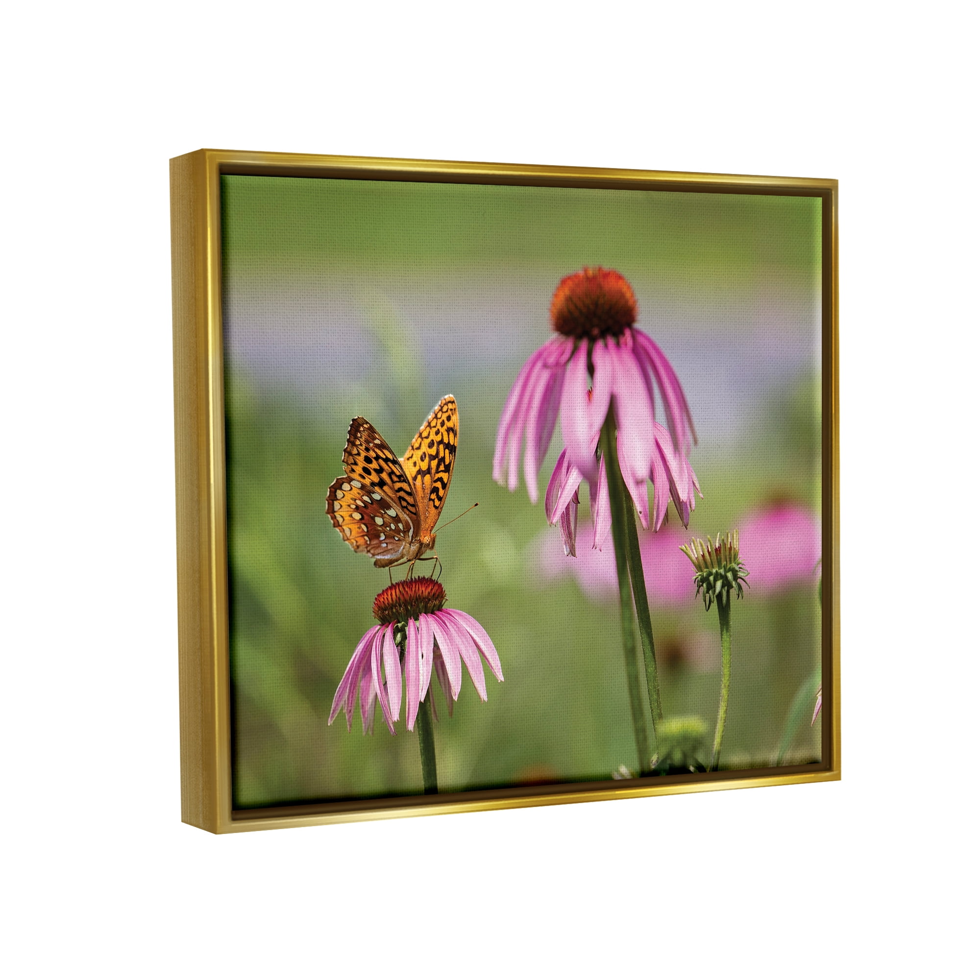 Stupell Industries Butterfly on Purple Flower Animals & Insects Photography Gold Floater Framed Art Print Wall Art, 31 x 25