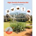 thumbnail image 4 of VEVOR Crop Cage, 3.9 x 3.9 x 5.9 ft Plant Protection Tent with Zippered Door, Wind-Resistant Tall Crop Cage, Easy to Install, Outdoor Raised Bed Cover, Tomato Plant Netting for Garden Patio Lawn, 4 of 9
