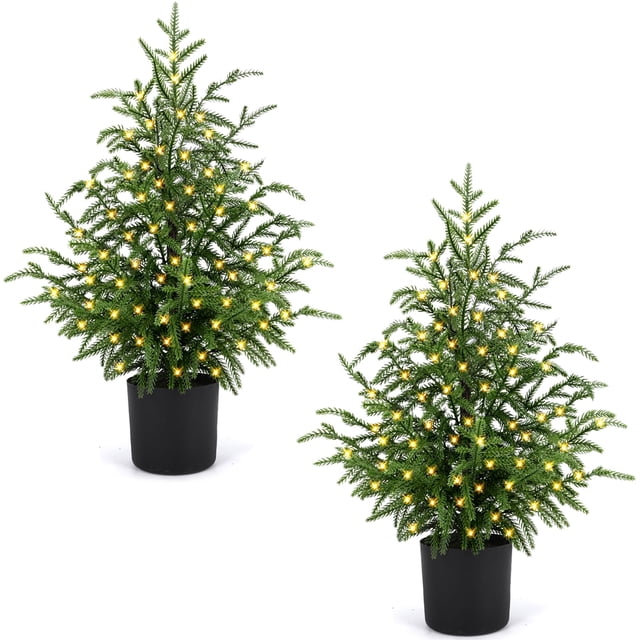 ENVEN 2FT Artificial Norfolk Pine Christmas Tree – Tabletop Faux Tree Unlit/Prelit with 50 LED Lights & 8-Function Battery B