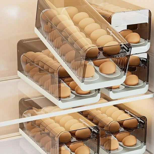 Dispensador Automático Huevos para Enrollar Huevos Contenedor Transparente para Huevos Organizadores Cocina 2 Niveles y Almacenamiento para Huevos en Refrigerador Ahorran Espacio