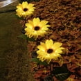thumbnail image 2 of Luces solares para jardín, luces solares para jardín, adornos para exteriores, luz nocturna, luces de girasol con energía solar para exteriores, resultados impresionantes, 2 of 7