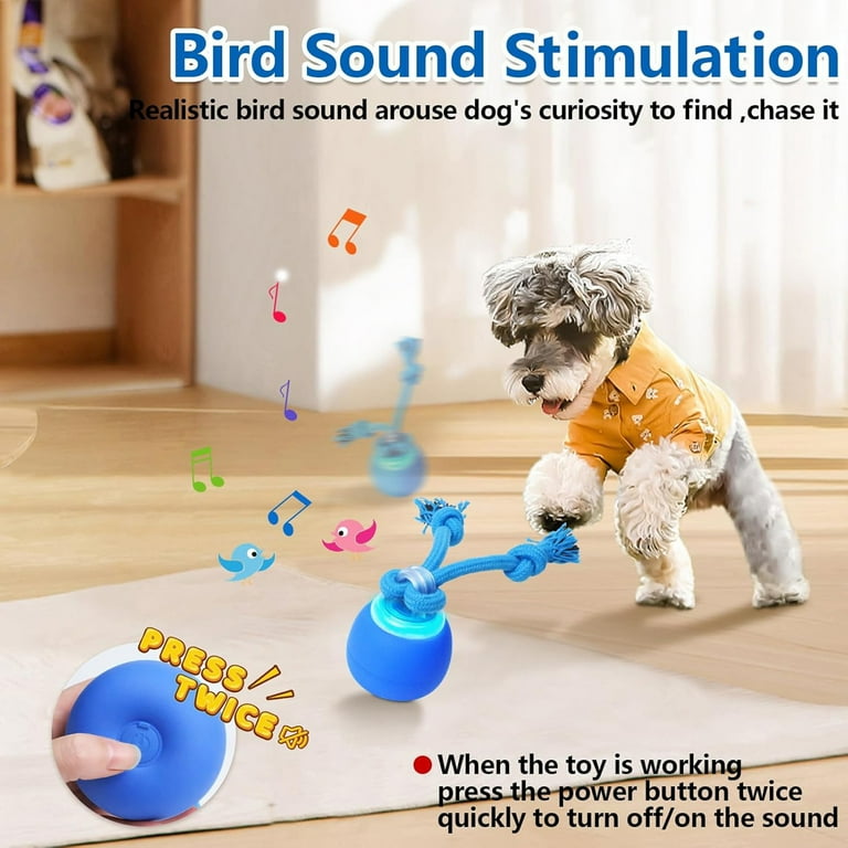Interactive Dog Ball, Touch Activated Moving Toy photo 3