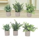 thumbnail image 1 of Plantas En Macetas Artificiales, Sin Riego De Plantas Eucalipto En Macetas Decorativas 3 Paquete Hermoso Para Jardín, 1 of 7